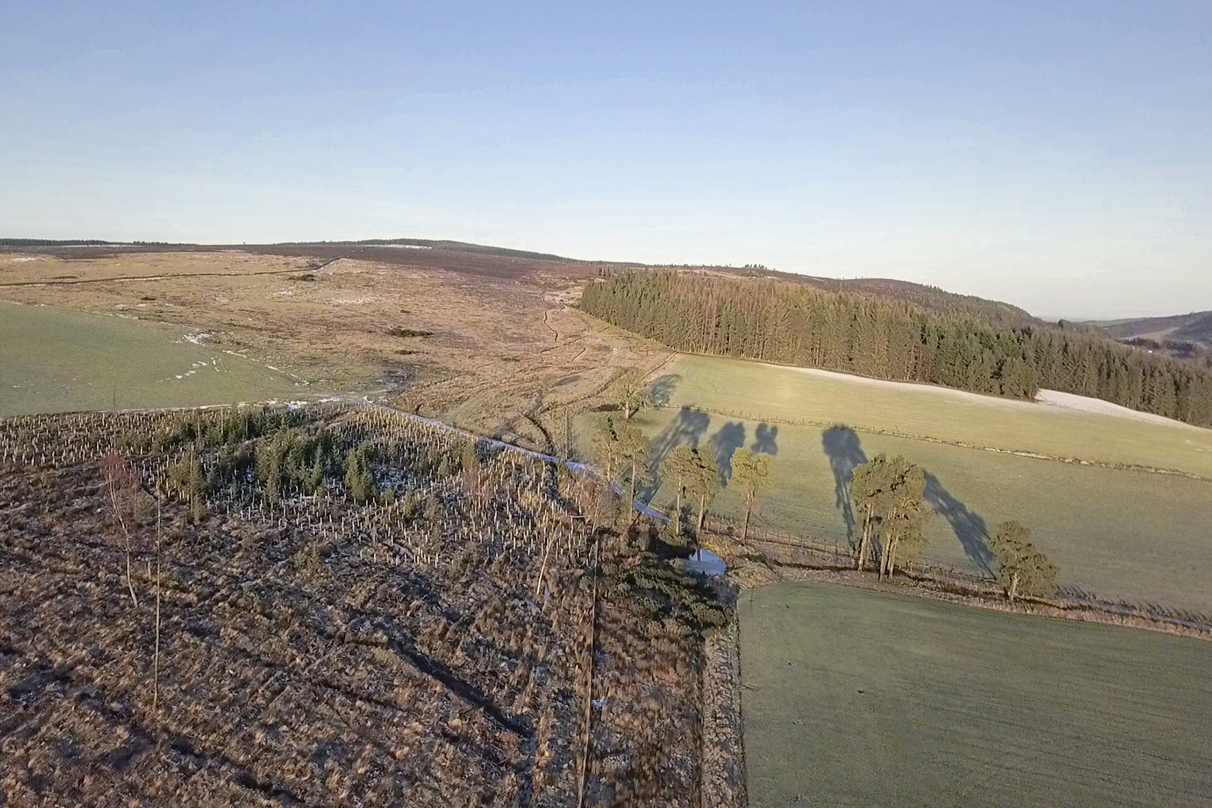 Forestry valuation survey