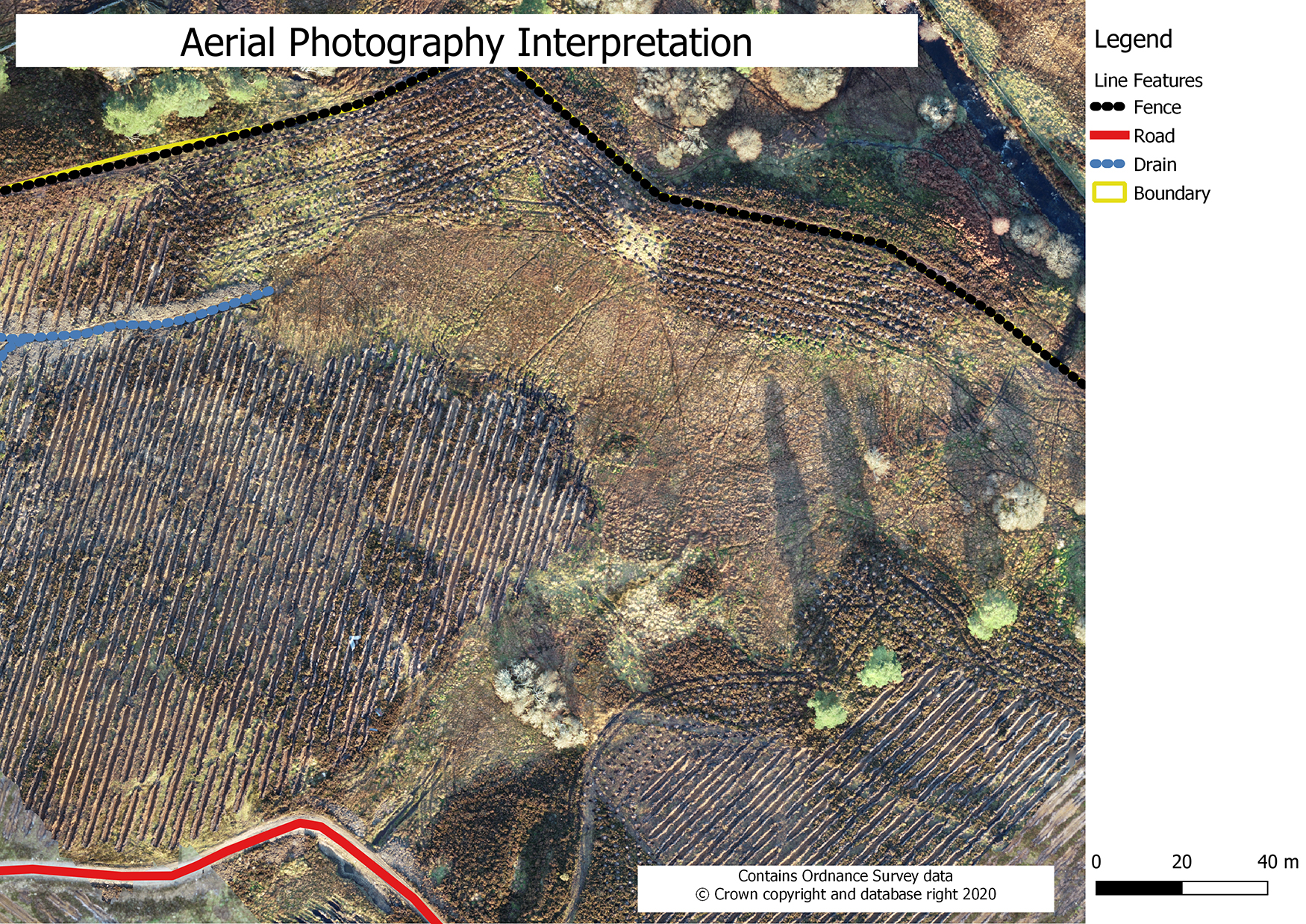 Forestry valuation survey