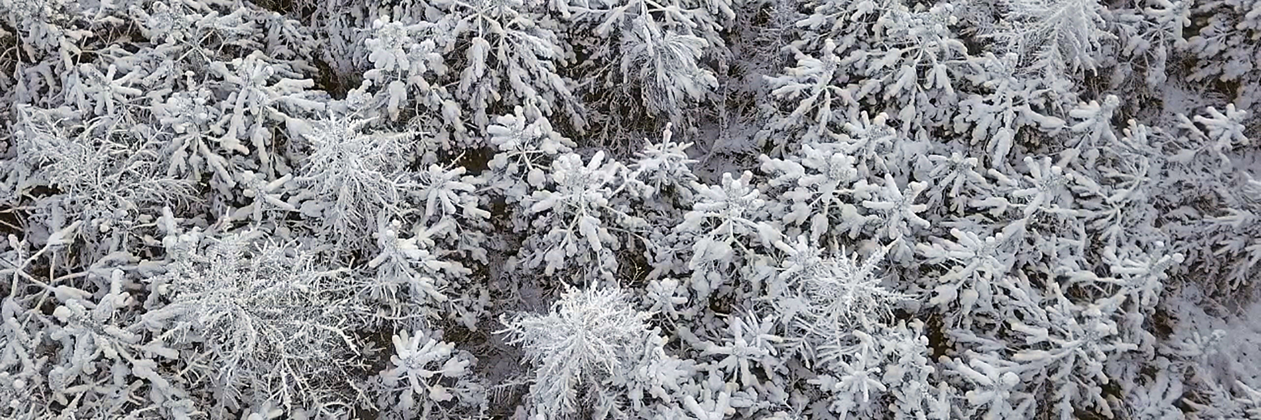 Drone Pilot with CAA Approved PfCO